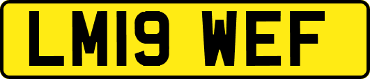 LM19WEF
