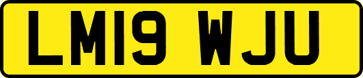 LM19WJU