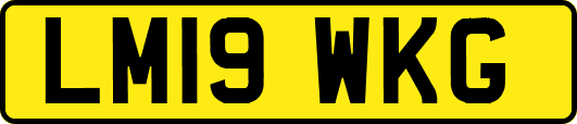 LM19WKG