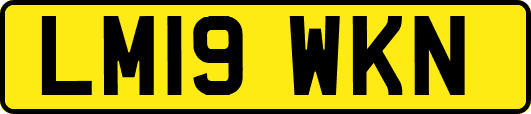 LM19WKN