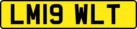 LM19WLT