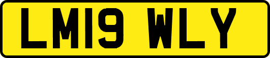 LM19WLY