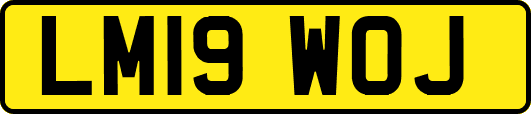 LM19WOJ