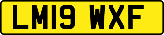 LM19WXF