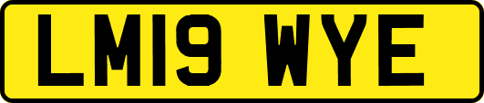 LM19WYE