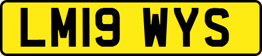 LM19WYS