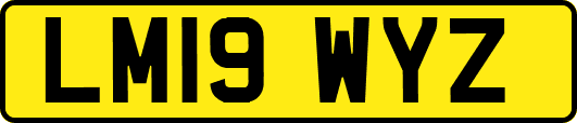 LM19WYZ
