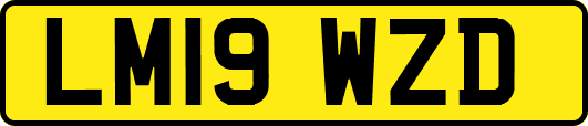 LM19WZD