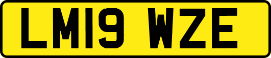 LM19WZE