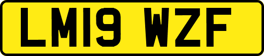 LM19WZF