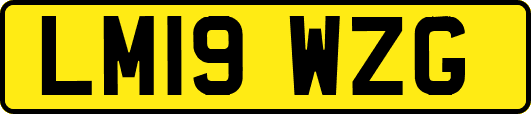 LM19WZG