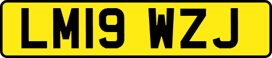 LM19WZJ