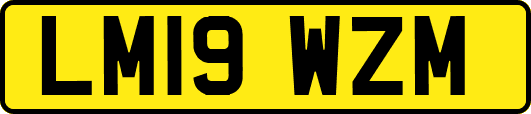 LM19WZM
