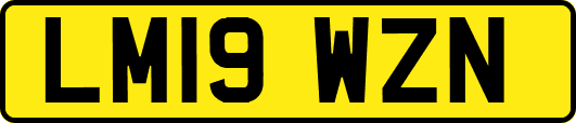 LM19WZN