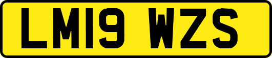 LM19WZS