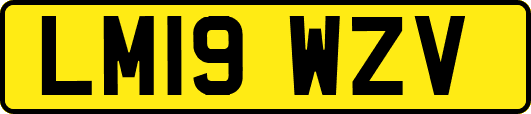 LM19WZV
