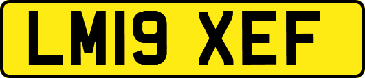 LM19XEF
