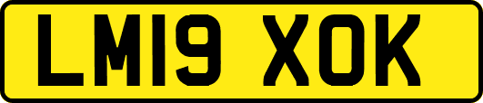 LM19XOK