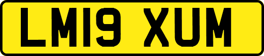 LM19XUM