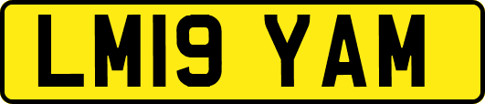 LM19YAM