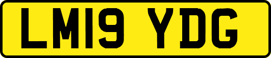 LM19YDG