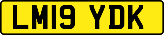 LM19YDK