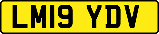 LM19YDV
