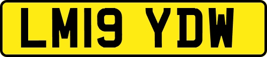 LM19YDW
