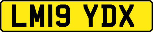 LM19YDX