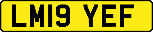 LM19YEF