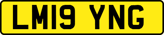 LM19YNG