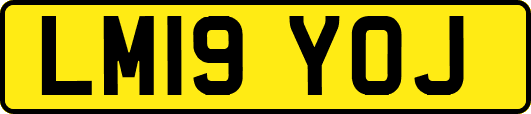 LM19YOJ