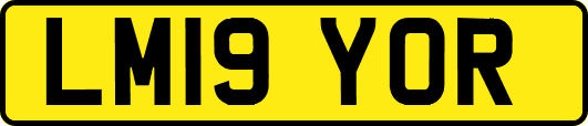 LM19YOR