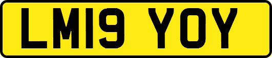 LM19YOY