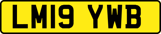 LM19YWB