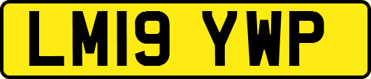 LM19YWP