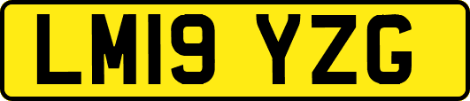 LM19YZG