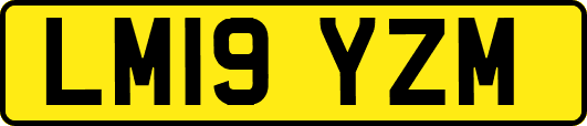 LM19YZM
