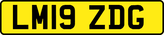 LM19ZDG