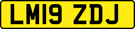 LM19ZDJ