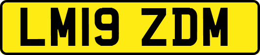 LM19ZDM