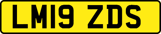 LM19ZDS