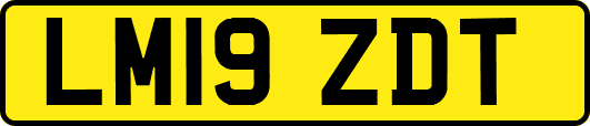 LM19ZDT