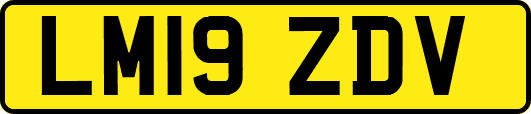 LM19ZDV