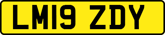 LM19ZDY