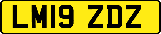 LM19ZDZ