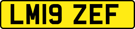 LM19ZEF