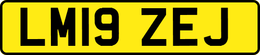 LM19ZEJ