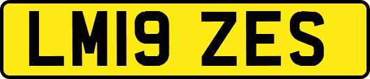 LM19ZES