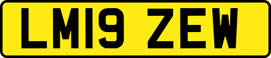 LM19ZEW